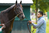 Horse Racing: Belmont Stakes-Workouts