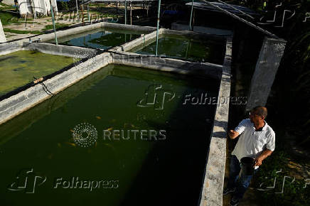 Cuban doctor builds insect farm to ease feed shortages and cut waste