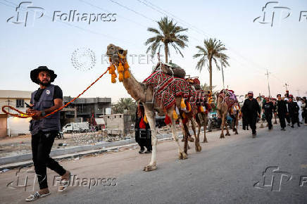 Pilgrims Journey to Karbala for Arbaeen Ritual