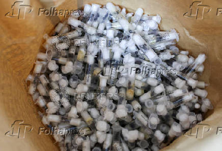 FILE PHOTO: Samples of garden ants concealed in syringes are presented to court as two Belgian nationals, a Vietnamese and a Kenyan national appeared for the hearing of their case, in Nairobi