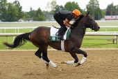 Horse Racing: Belmont Stakes-Workouts