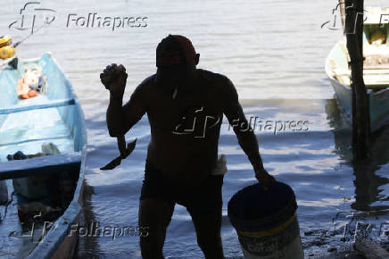 Contaminação por mercúrio na Lagoa Mundaú