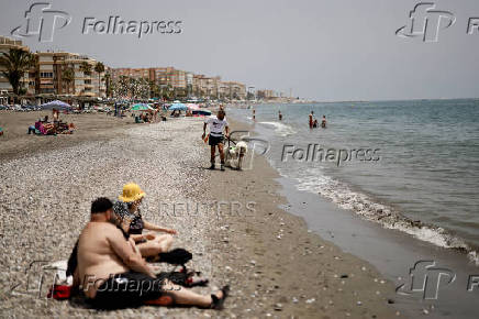 Nilo, a Standard Poodle dog, uncommonly trained to save lives at Las Lindes beach as the latest member added to a dog rescue team, in Torrox
