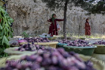 Mulberry seasonal fruit sales