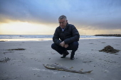 Marine life in South Australia harmed by a toxic algal bloom
