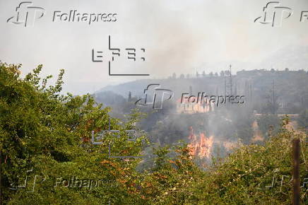 Wildfire in Greece's Peloponnese region
