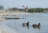 Low water level of Lake Constance (Bodensee) in Constance