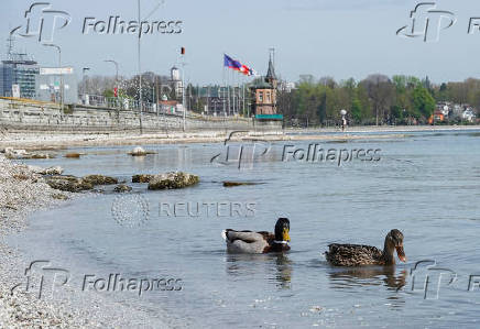 Low water level of Lake Constance (Bodensee) in Constance
