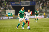 Partida entre Palmeiras e Bahia pelo Campeonato Brasileiro