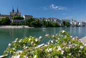 A view shows the Muenster ferry Leu on the Rhine river during the Eurovision Song Contest in Basel