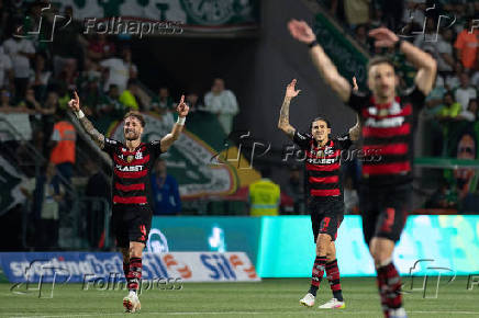 Partida entre palmeiras e flamengo pelo campeonato brasileiro
