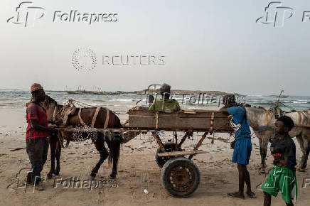 A man sits on a horse-drawn cart that transports goods, as he waits for customers at the fishing quay in Yoff beach