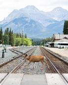 Canada prepares to host G7 in Banff