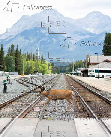 Canada prepares to host G7 in Banff
