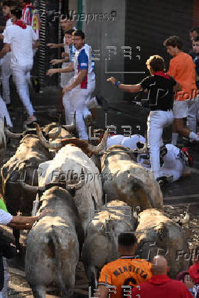 Vuelven a Pamplona los toros de José Escolar para el sexto encierro de los Sanfermines