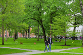 Views of Harvard University