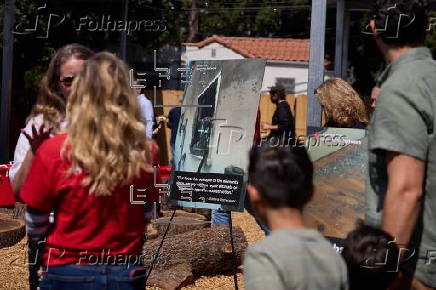 Six month anniversary of Eaton and Palisades fires