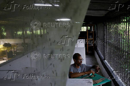 Cuban doctor builds insect farm to ease feed shortages and cut waste