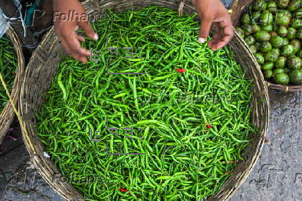 Vegetable prices soar again in Dhaka due to crop damage from rain