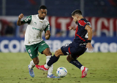 Copa Libertadores - Group Stage - Cerro Porteno v Palmeiras