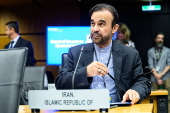 IAEA board of governors meets in Vienna
