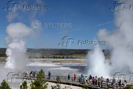 Three geysers erupt simultaneously at the Fountain Paint Pot geothermal area in Yellowstone National Park