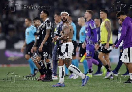 Brasileiro Championship - Botafogo v Corinthians