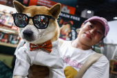 Pet Expo Thailand in Bangkok