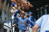 MLB: St. Louis Cardinals at Chicago Cubs