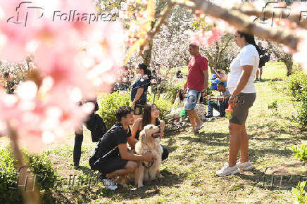Terceiro dia da Festa das Cerejeiras 2025 no Parque do Carmo