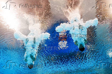 World Aquatics Championships