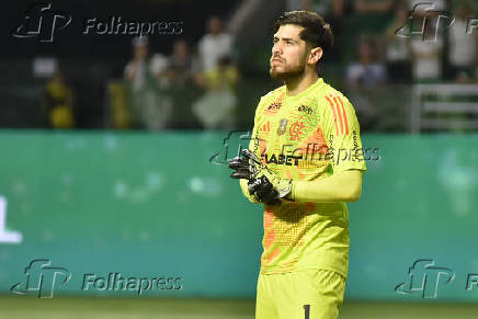 SÃO PAULO (SP), 25.05.2025 - Futebol / Palmeiras x Flamengo