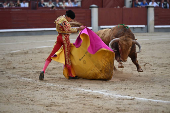 Feria de San Isidro