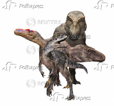The newly identified dinosaur species Khankhuuluu mongoliensis is seen in front of three of its evolutionary descendants