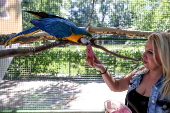 Animals at Skopje zoo receive frozen fruit amid heatwave
