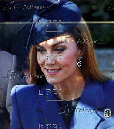 German President Steinmeier on state visit to the UK