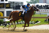 Horse Racing: Black-Eyed Susan