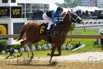 Horse Racing: Black-Eyed Susan