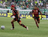 Partida entre Palmeiras e Flamengo
