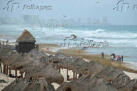 Sargassum seaweed season in Cancun
