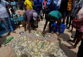 FILE PHOTO: Fishermen separate freshly caught fish from plastic waste in a fishing net at a beach in Galle