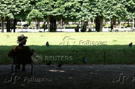 A man sits on a chair in the Tuileries Garden on a warm and sunny day in Paris