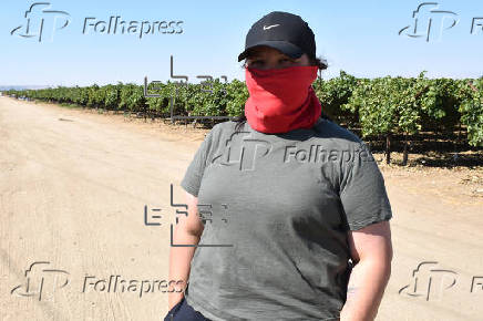 El miedo que se cosecha: jornaleros en California bajo las redadas migratorias