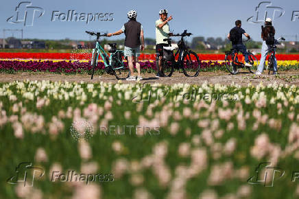 People stand with their bikes in between tulip fields in Lisse
