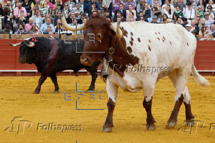 Noveno Festejo de la Feria de Abril 2025