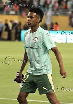 Inter miami fc vs palmeiras :fifa club world cup.