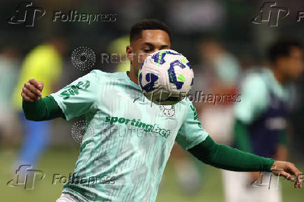 Brasileiro Championship - Palmeiras v Gremio