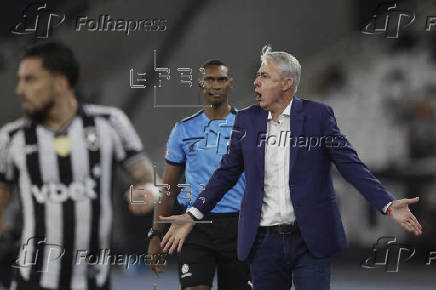 Copa Libertadores: Botafago - LDU Quito