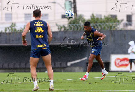 SANTOS, TREINO