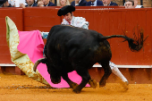 Noveno Festejo de la Feria de Abril 2025